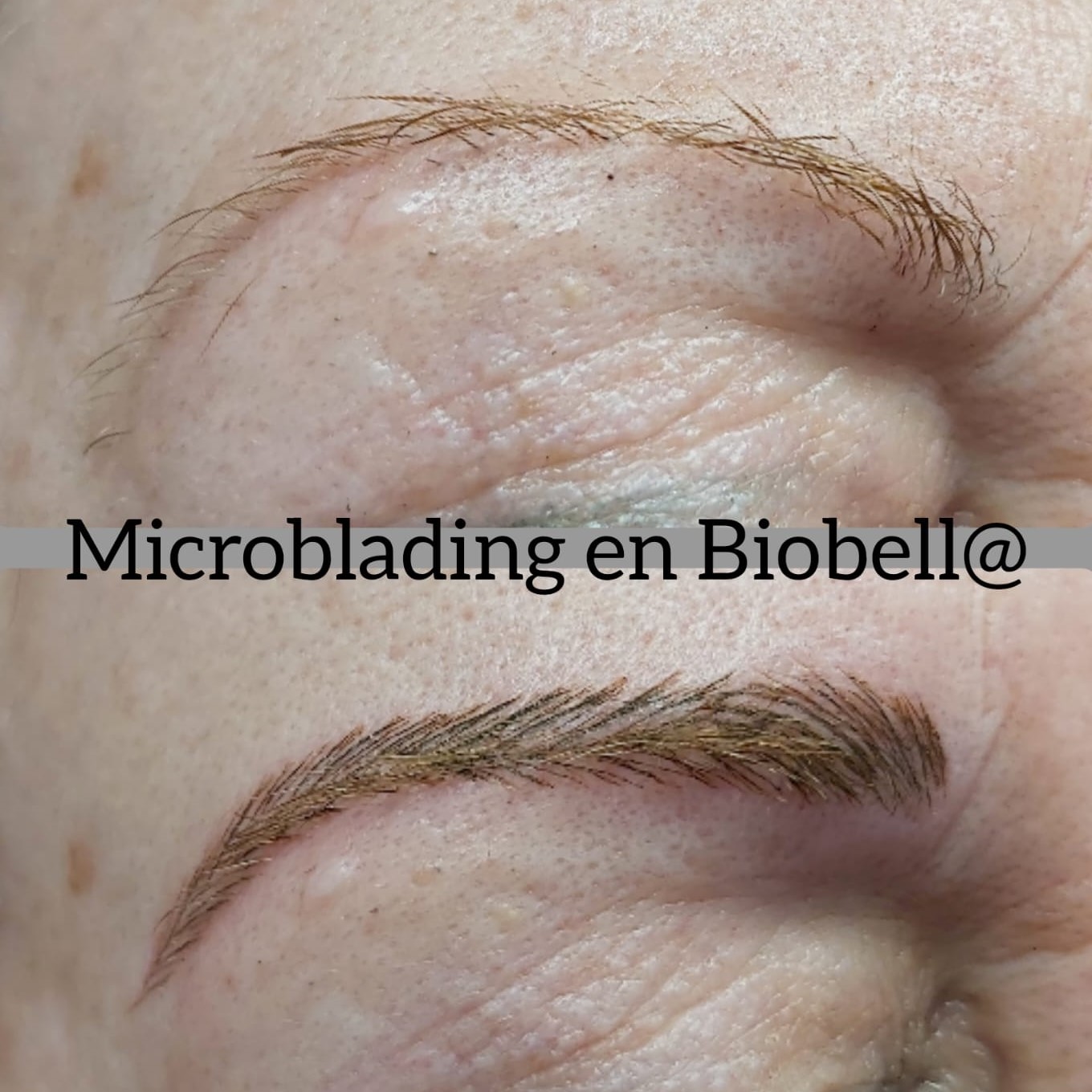 Microblading en Biobella 6